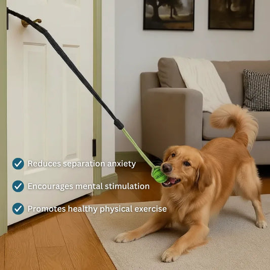 PawPsych™ TugBuddy