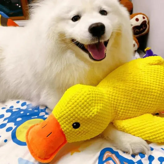 PawPsych™ Comfort Quack